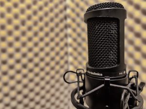 mic condenser untuk Home recording studiovocal